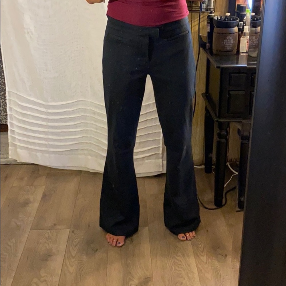 Calvin Klein cotton flared pants